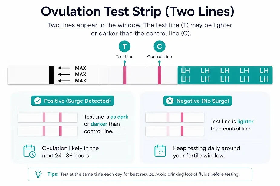 How To Read Ovulation Test Strips