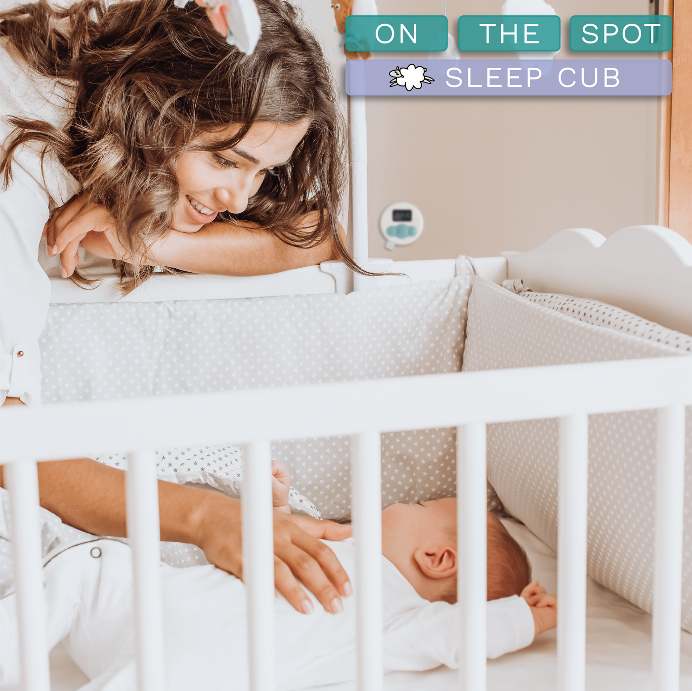 Newborn Basics (Sleep, Diaper and Bottle Cubs)